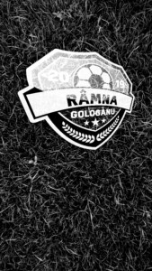 Râmna Gologanu -Gray Grass – Gray Logo – Left – Mobile